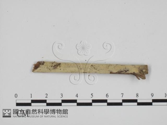 登錄號:F0001104藏品圖，第3張
