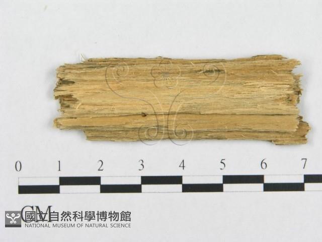 登錄號:F0007104藏品圖，第3張