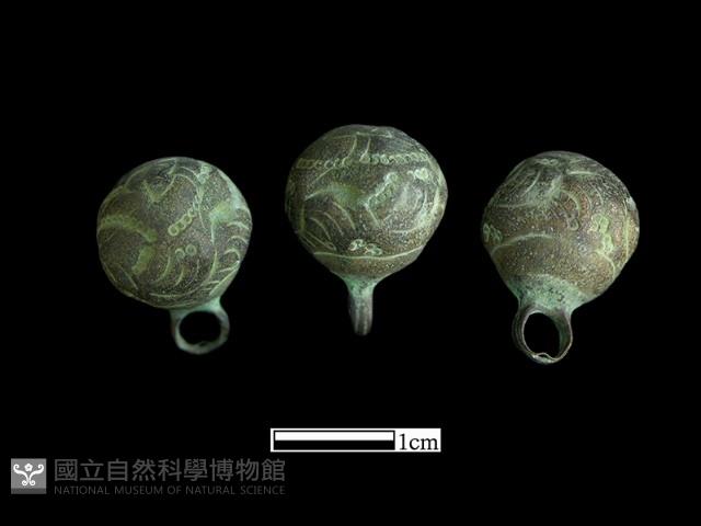 鈕子藏品圖，第1張