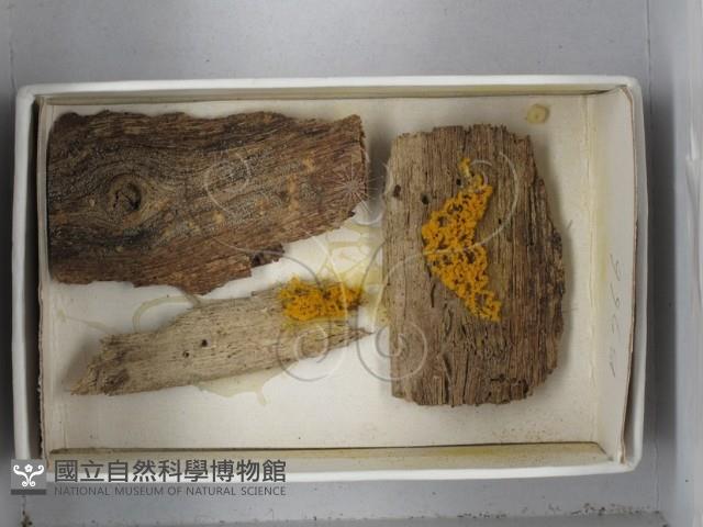 登錄號:F0018294藏品圖，第3張