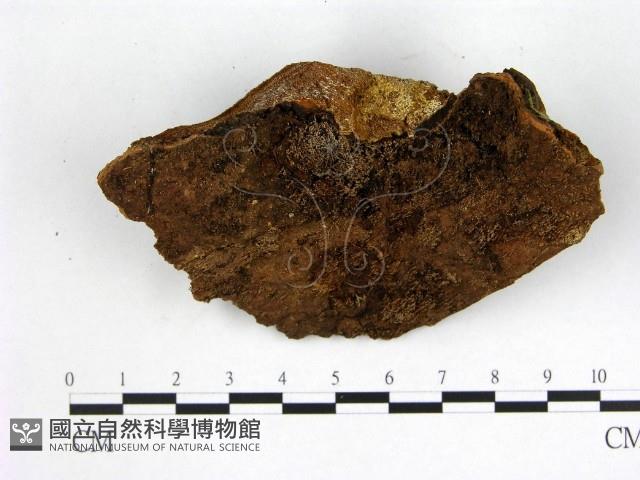 登錄號:F0005894藏品圖，第3張