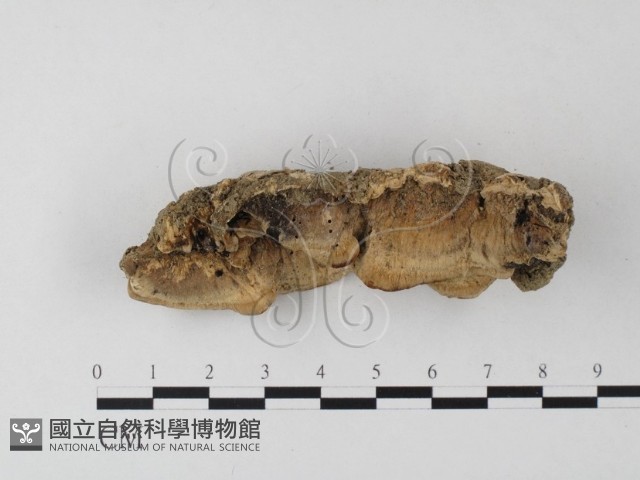 登錄號:F0023994藏品圖，第3張