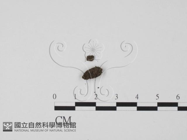 登錄號:F0000694藏品圖，第3張