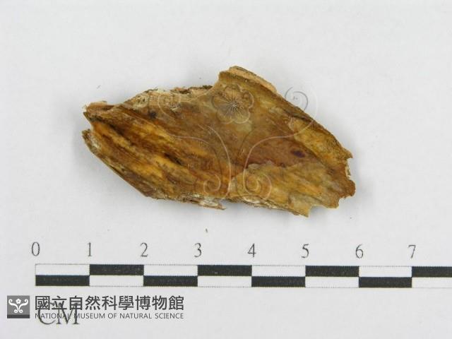 登錄號:F0016694藏品圖，第3張