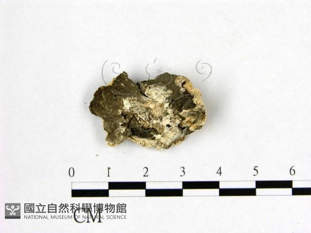 登錄號:F0009494藏品圖，第3張