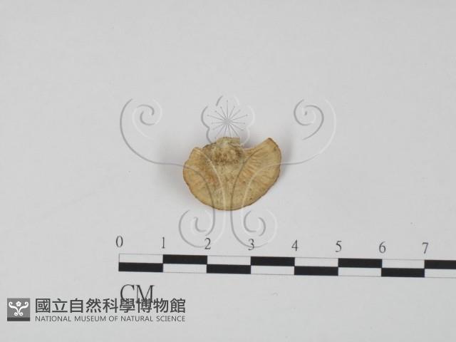 Accession Number:F0006594 Collection Image, Figure 3, Total 3 Figures