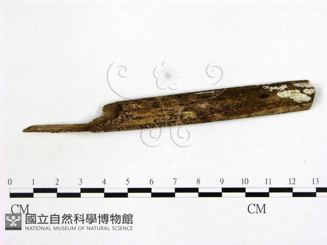 登錄號:F0020194藏品圖，第3張