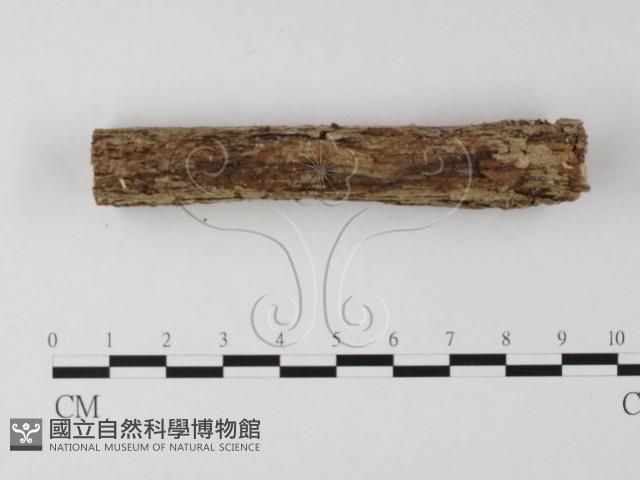 登錄號:F0010194藏品圖，第3張