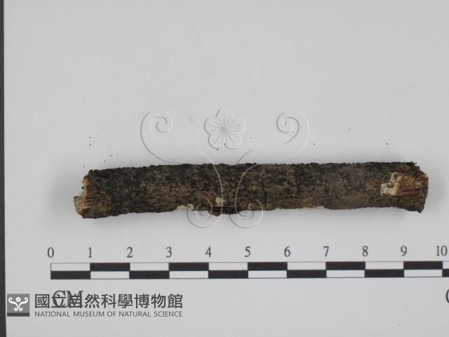 登錄號:F0001094藏品圖，第3張