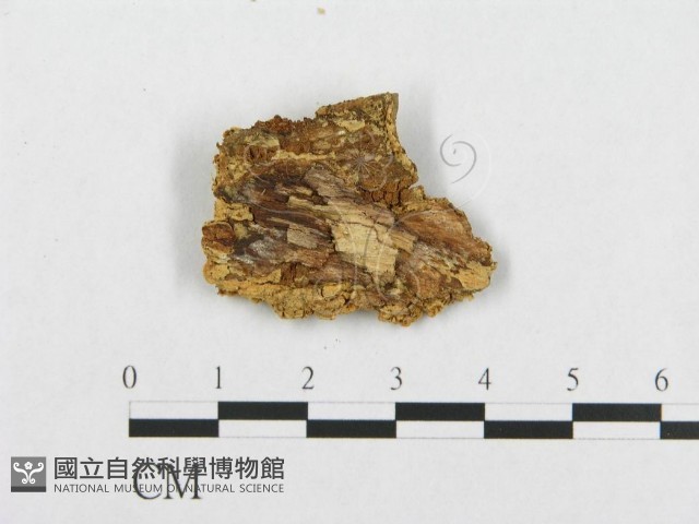 登錄號:F0007094藏品圖，第3張