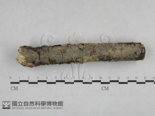 登錄號:F0025094藏品圖，第3張