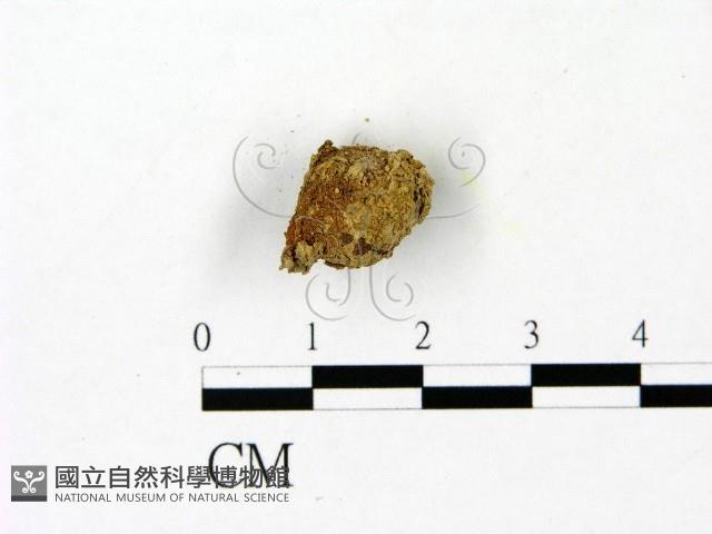 登錄號:F0023094藏品圖，第3張