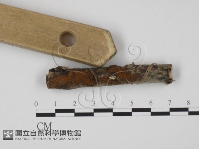 登錄號:F0015394藏品圖，第3張
