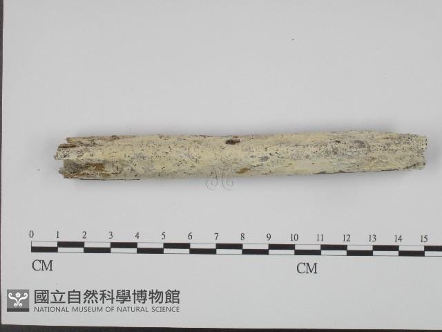 登錄號:F0004284藏品圖，第3張