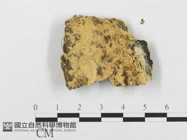 登錄號:F0007284藏品圖，第3張