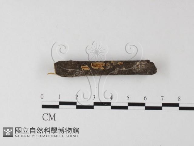 登錄號:F0009284藏品圖，第3張