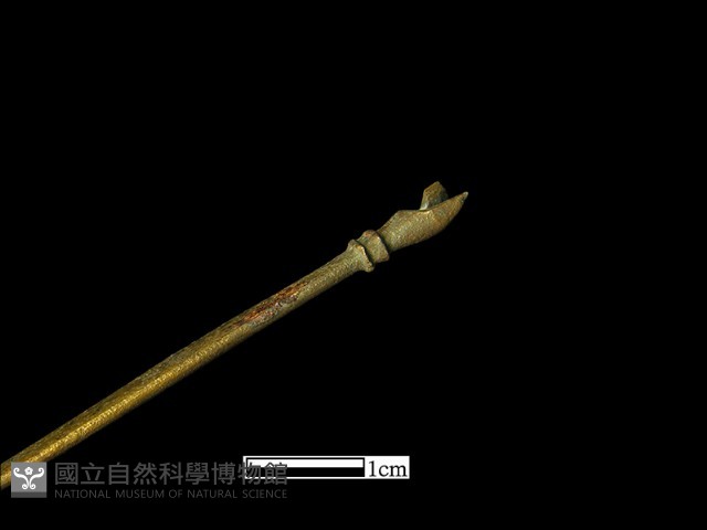 髮簪藏品圖，第4張