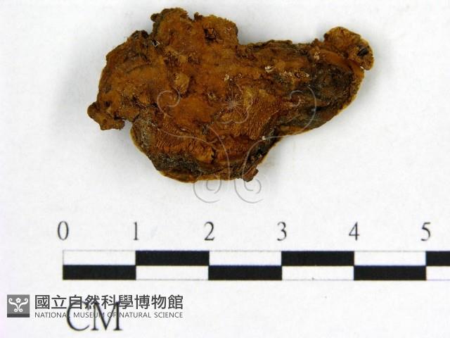 登錄號:F0019884藏品圖，第3張