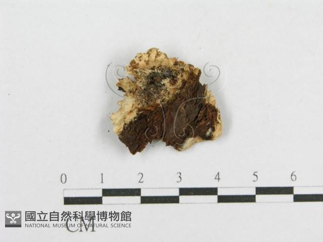 登錄號:F0000984藏品圖，第3張