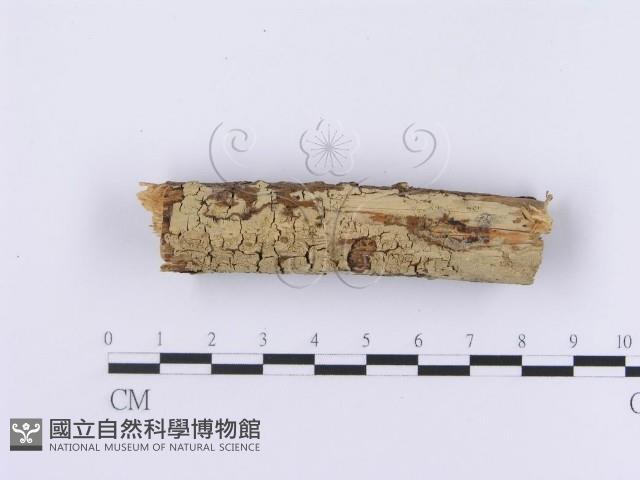 登錄號:F0002984藏品圖，第3張