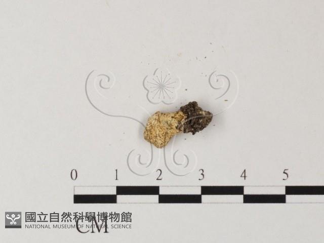 登錄號:F0018684藏品圖，第3張