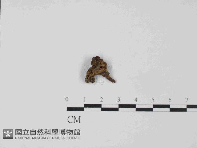登錄號:F0014684藏品圖，第3張