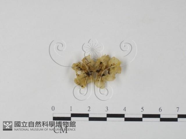 登錄號:F0007484藏品圖，第3張