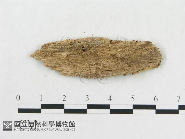 登錄號:F0006584藏品圖，第3張