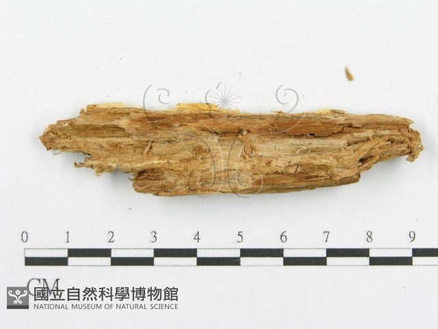 登錄號:F0008184藏品圖，第3張