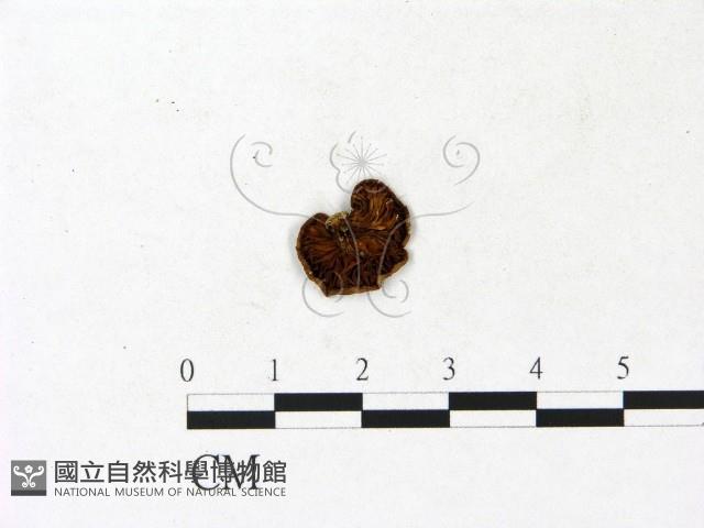 登錄號:F0023184藏品圖，第3張
