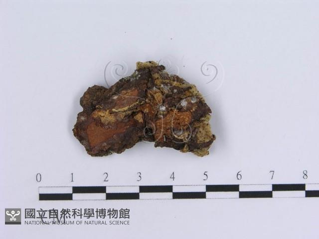 登錄號:F0014084藏品圖，第3張