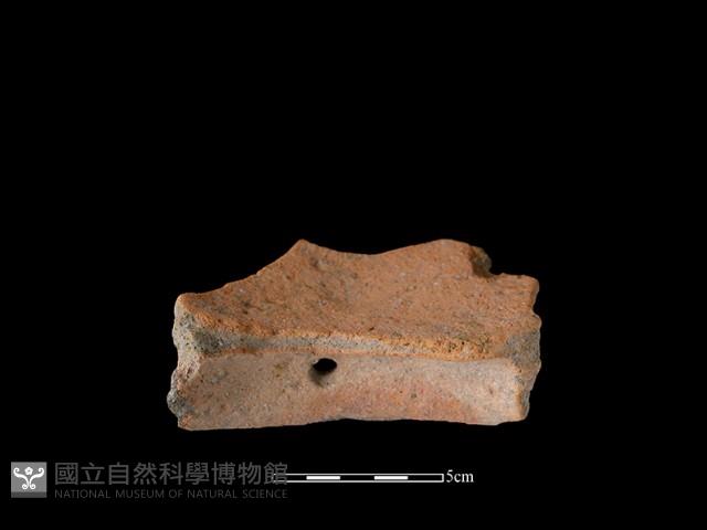 陶罐藏品圖，第3張