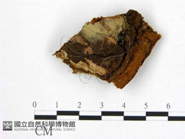 登錄號:F0008102藏品圖，第3張