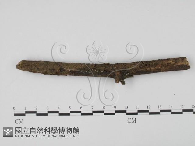 登錄號:F0001002藏品圖，第3張