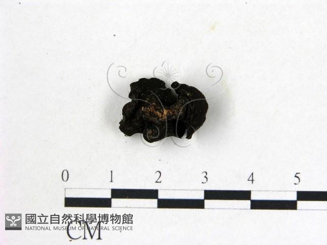 登錄號:F0008012藏品圖，第3張