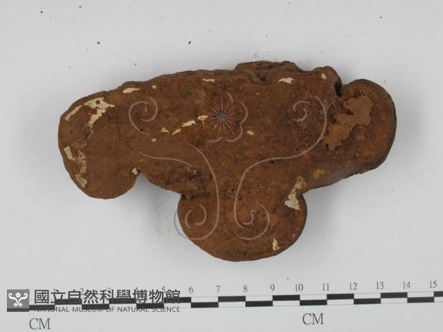 登錄號:F0009012藏品圖，第3張