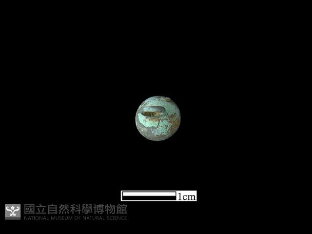 鈕子藏品圖，第1張