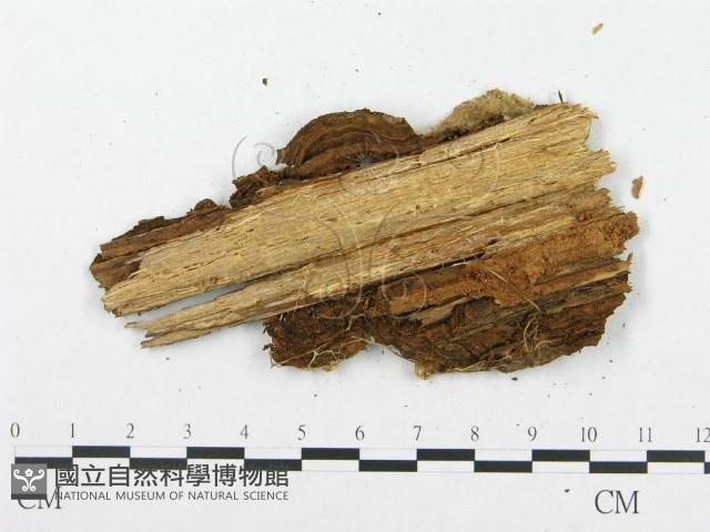 登錄號:F0007292藏品圖，第3張