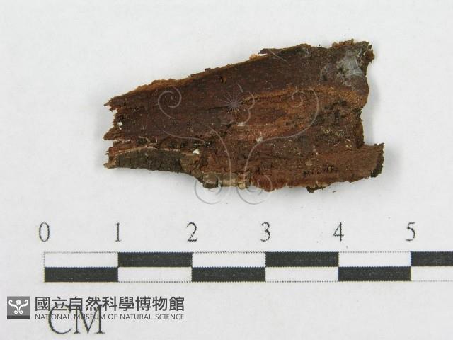 登錄號:F0003892藏品圖，第3張