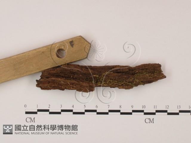 登錄號:F0013892藏品圖，第3張