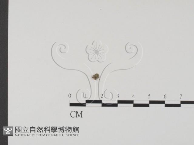 登錄號:F0000992藏品圖，第3張