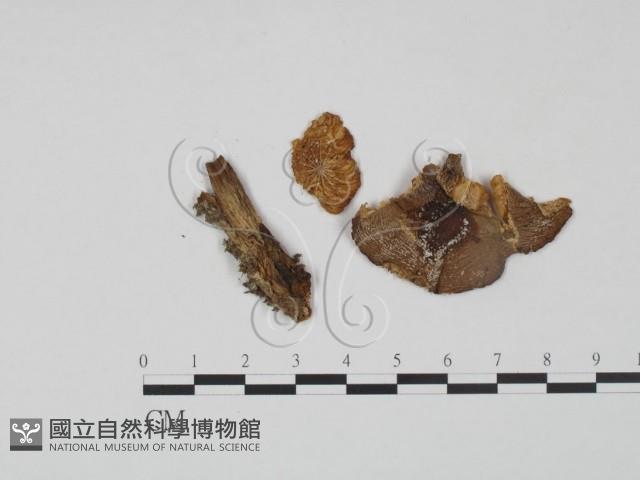 登錄號:F0021992藏品圖，第3張