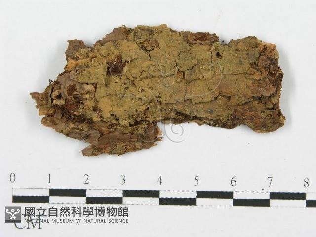 登錄號:F0004992藏品圖，第3張