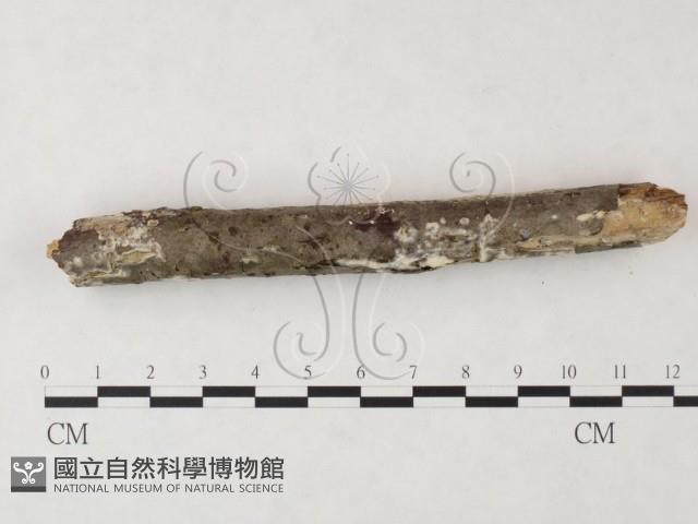 登錄號:F0019992藏品圖，第3張