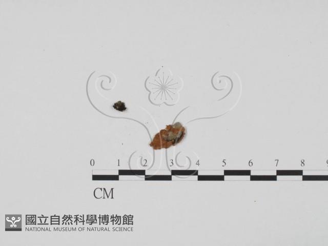 登錄號:F0011692藏品圖，第3張