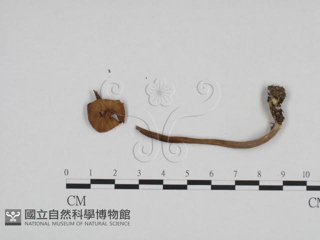 登錄號:F0024692藏品圖，第3張