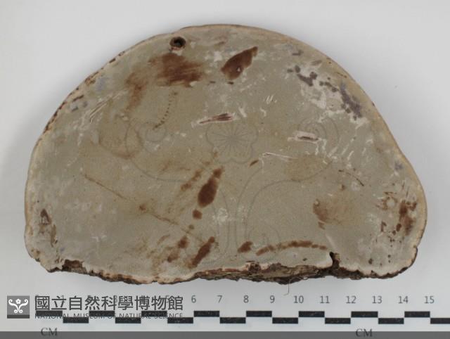 登錄號:F0034692藏品圖，第3張