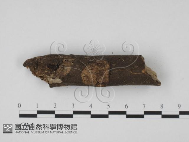 登錄號:F0005692藏品圖，第3張