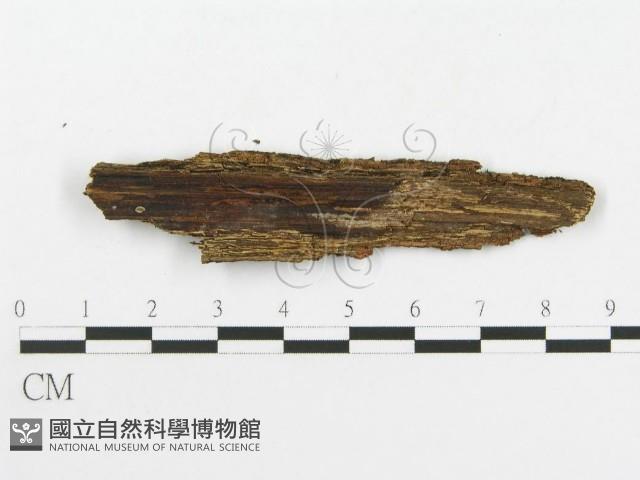 登錄號:F0020492藏品圖，第3張