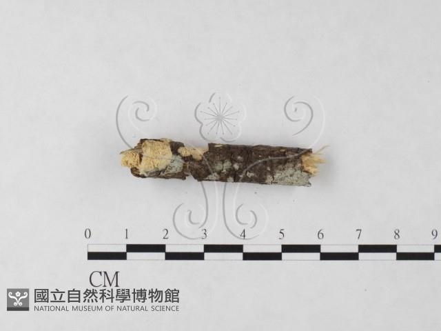 登錄號:F0023792藏品圖，第3張